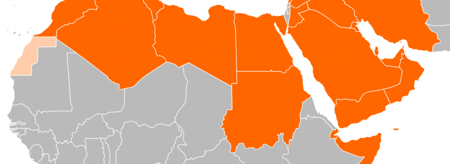 IT-Enterprise building industrial ecosystem and cross-sector partnership with MENA countries